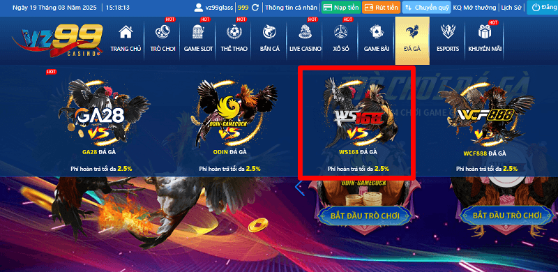 Đá gà WS168 - Sảnh game cá cược đá gà siêu HOT 2025 15 Đá gà WS168 tại VZ99